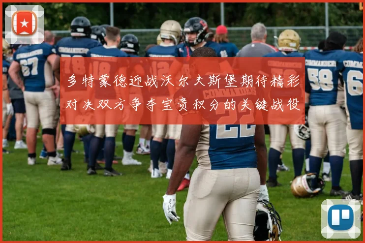 多特蒙德迎战沃尔夫斯堡期待精彩对决双方争夺宝贵积分的关键战役